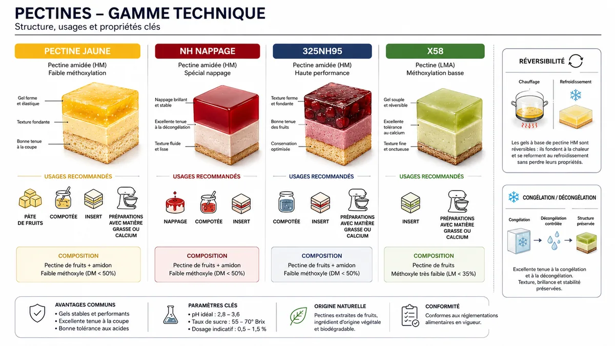 Schéma comparatif des pectines jaune NH 325NH95 et X58